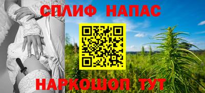 гашик Краснодар