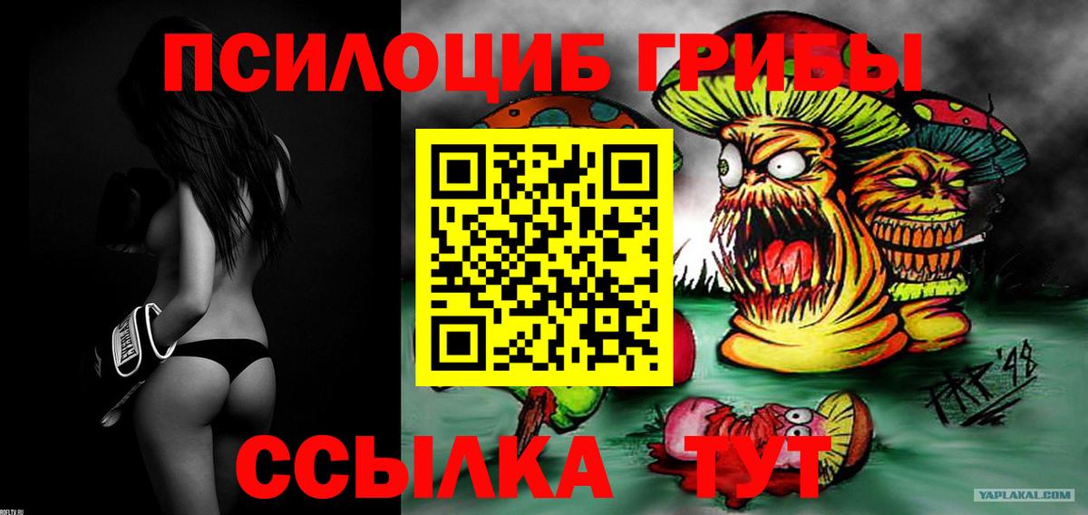 Учалы  Псилоцибиновые грибы Psilocybine cubensis  цена наркотик  Вход с VPN 